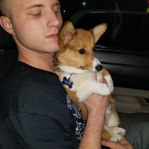 Meet your Posher, Jake